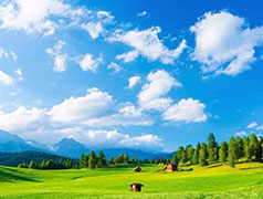 要想打贏藍(lán)天保衛(wèi)戰(zhàn)，我們還有哪些“硬骨頭”要啃？