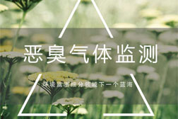化工企業(yè)園區(qū)常見的惡臭氣體在線監(jiān)測(cè)應(yīng)該如何做？